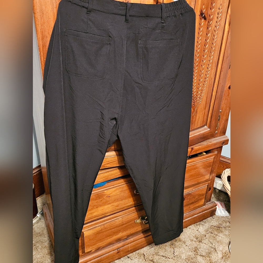 Dress pants